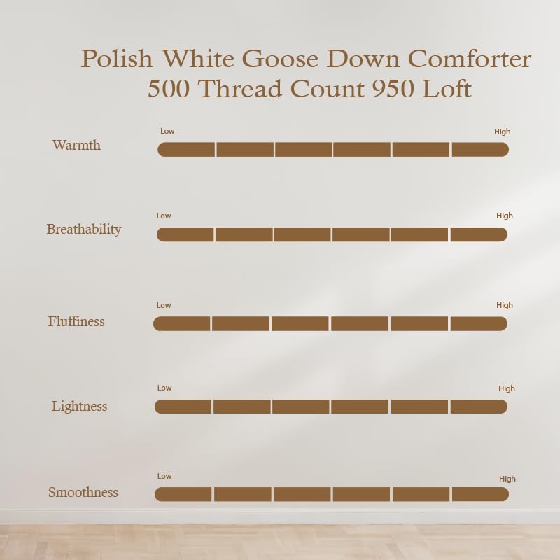 Polish Goose Down Comforter Duvet Insert, 950 Fill Power