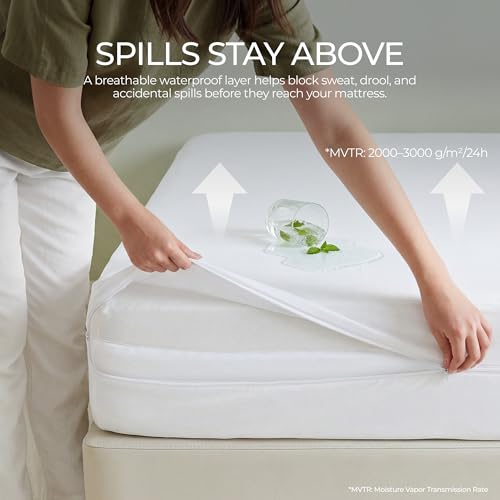 King Mattress Encasement with 4 Pillow Protectors
