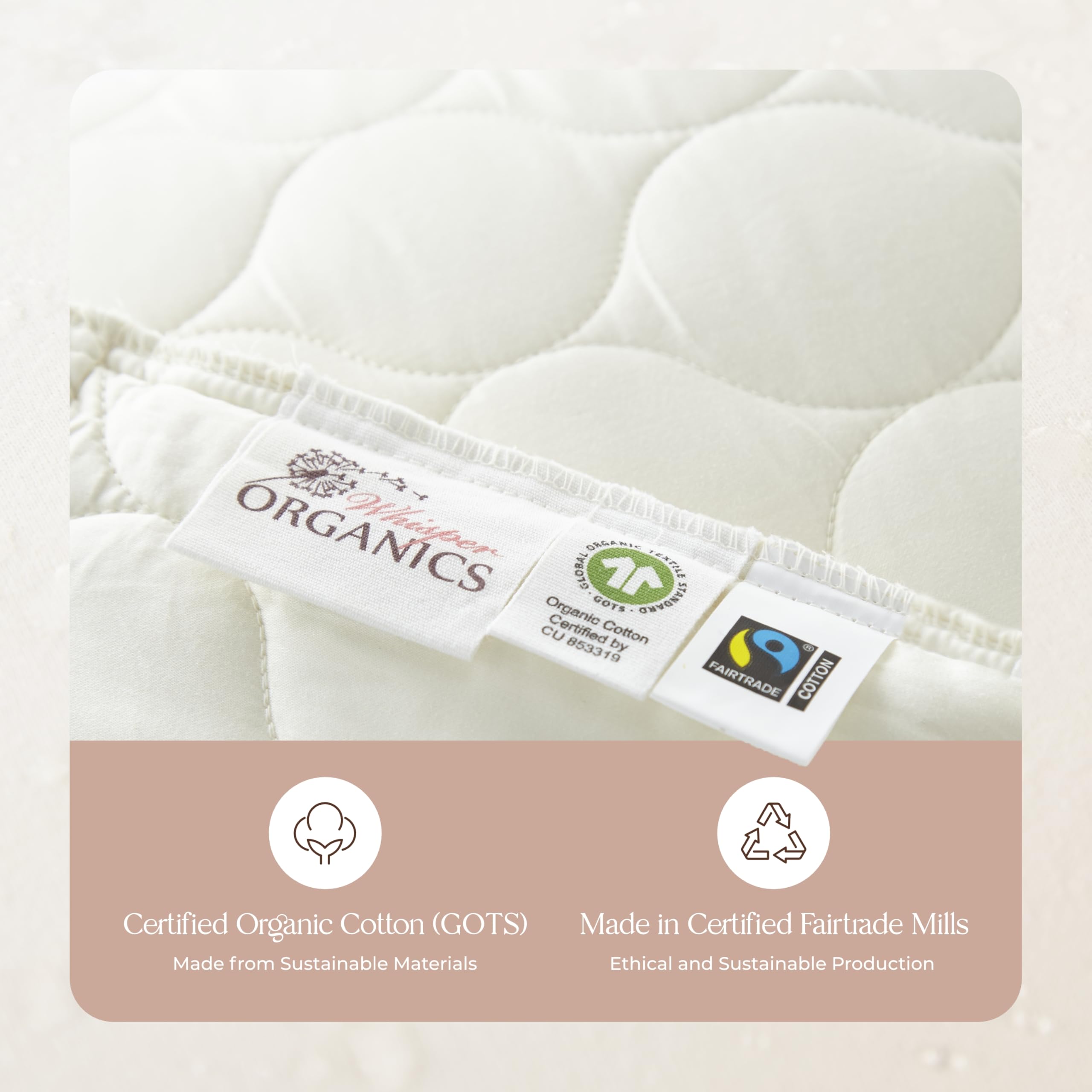 Whisper Organics Quilted Pillow Protector 100% Organic Cotton, Edge Piping