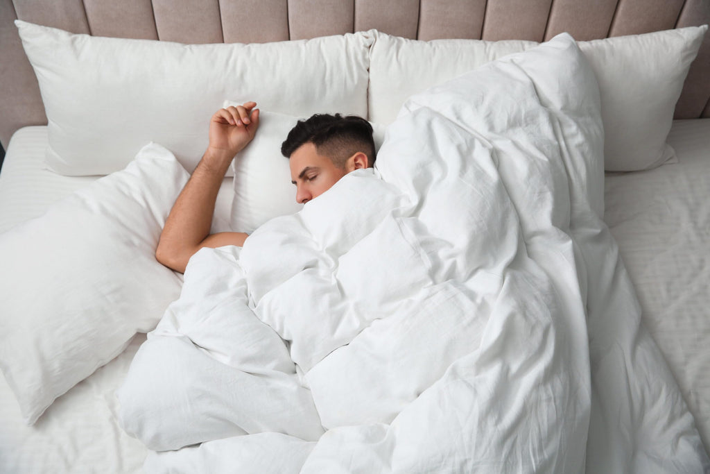 Siberian White Goose Down Comforter, 800 Fill Power